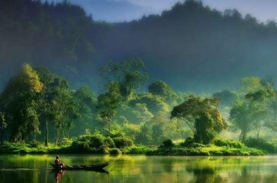 Painting Of Nature Canvas Art - Hardibudi (24 x 36)