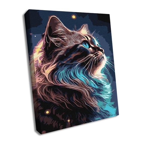 Wizardi Painting by Numbers on a Stretcher kit - The Magic of Space KHO6549 Ideyka
