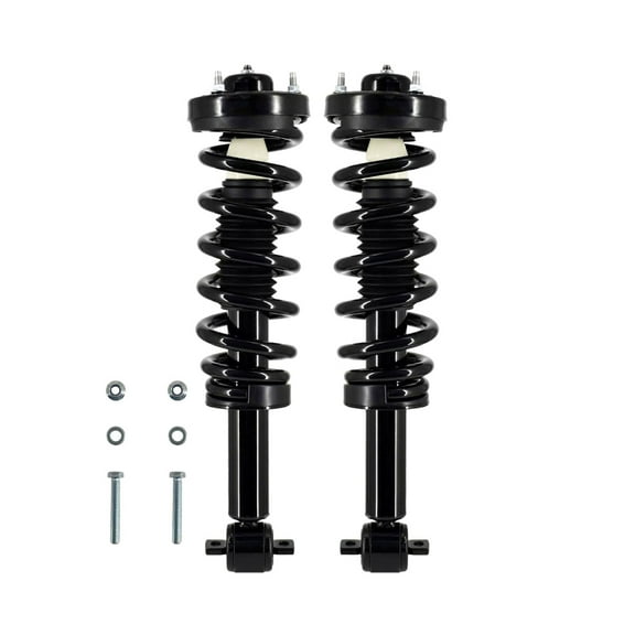 Pair 2 Front L-R Quick Complete Strut-Coil Spring For 2015-2020 Ford F-150 4WD
