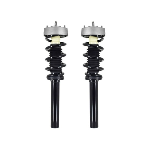 Pair 2 Front Quick Complete Strut-Coil Spring For 2015-2019 BMW X6 xDrive35i