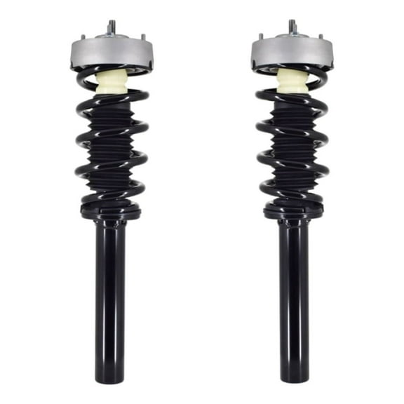 Pair 2 Front Quick Complete Strut-Coil Spring For 2015-2019 BMW X6 xDrive50i