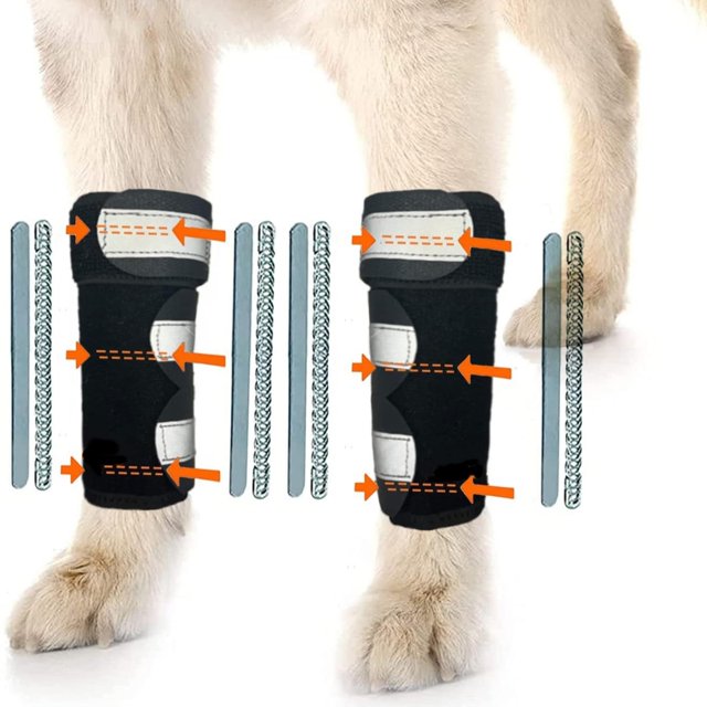 Walmart Dog Front Leg Brace, Splint Protector for Surgery Recovery