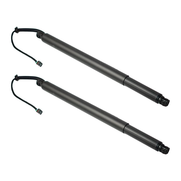 Pair of Electric Liftgate Struts for Lexus RX350 RX450 2016-2019, Left & Right - Replaces number 95851285104 #Power Lift Support Shock Strut #Left/Right rear tailgate