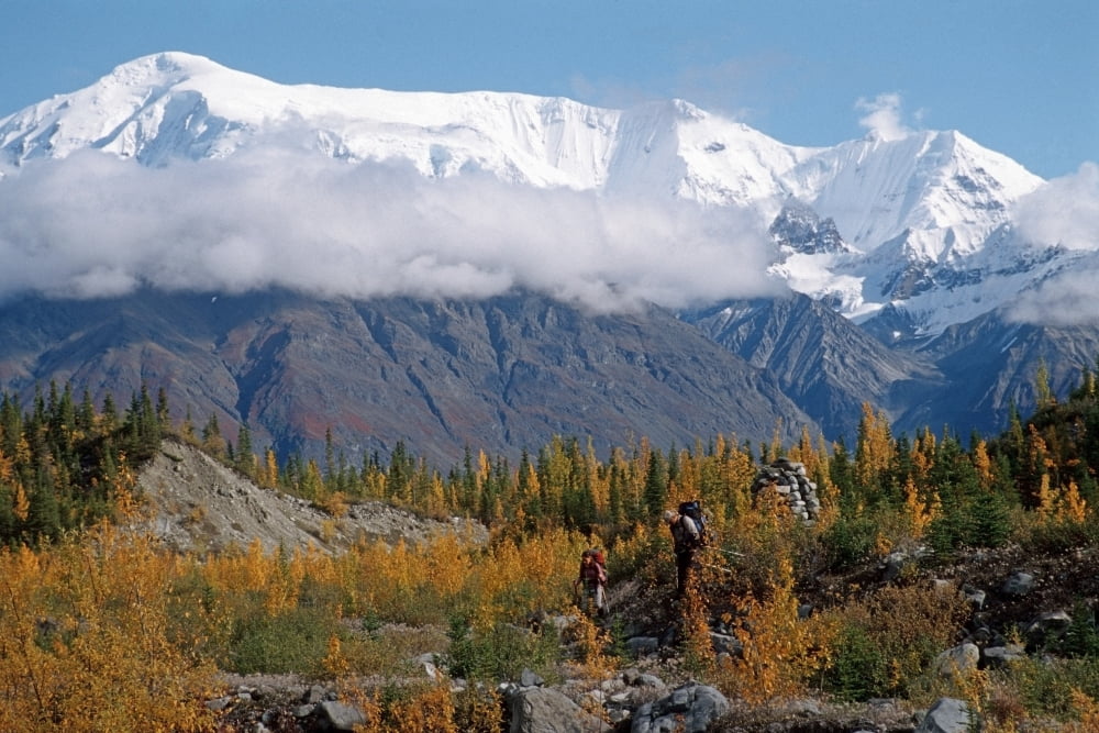 Pair Of Hikers Enjoy The Fall Colors As They Return From A Week Long Backpacking Trip Into Wrangell-StElias National Park In Southcentral Alaska Canvas Art - Matt Hage Design Pics (17 x 11)