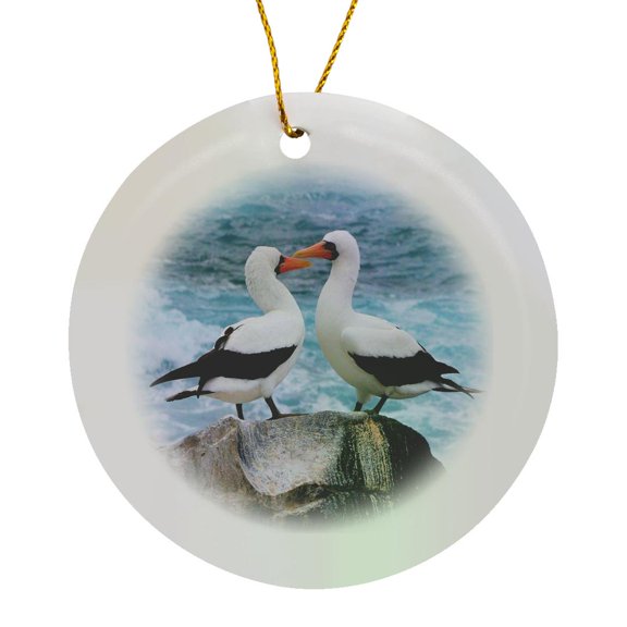 3drose, Pair of Albatross on Galapagos Island, Circle Porcelain Ornament