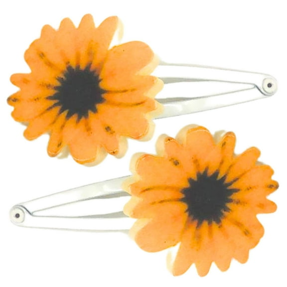 Pair Of Hair Clips