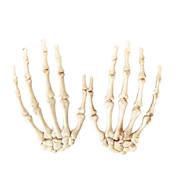 Pair Of Halloween Skeleton Hands Plastic Scary Claws For Decoration Prank And Cosplay 1 Set