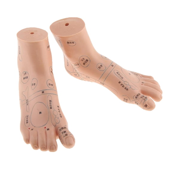Pair Of PVC Foot Reflexology Point Model Foot Model Teaching Supply