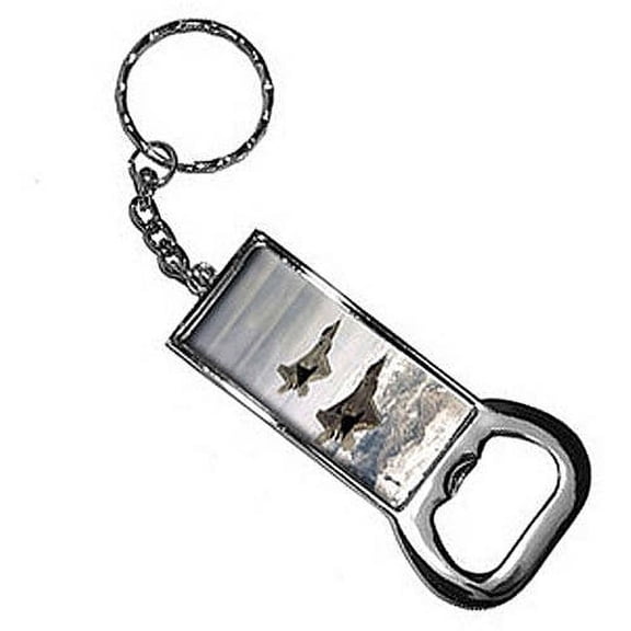 Pair Of Us Airforce F-22 Raptor Jet Fighters Keychain Key Chain Ring Bottle Bottlecap Opener