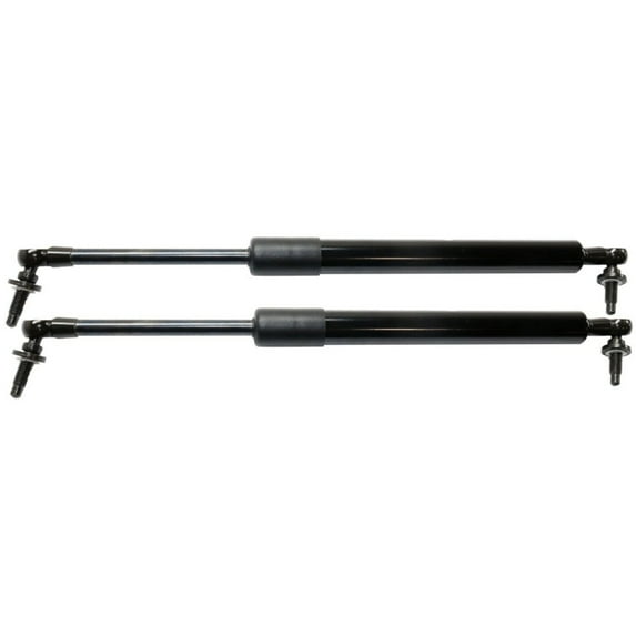 Pair Trunk lid Lift Supports Set of 2 Driver & Passenger Side Left Right