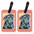 thumbnail image 1 of Pair of 2 Black Labrador Luggage Tags, 1 of 2