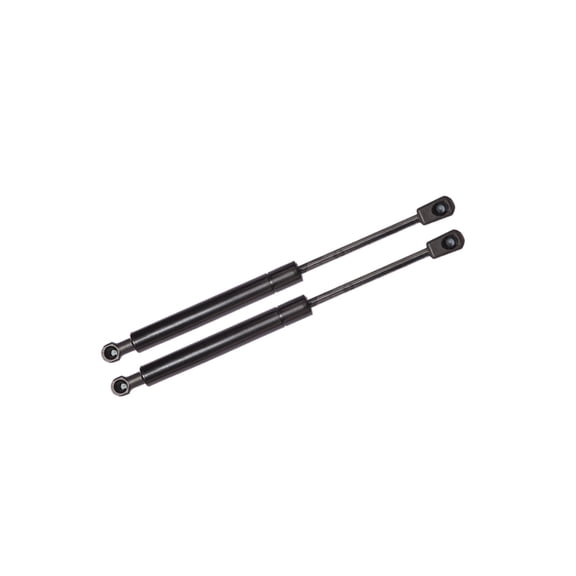 Pair of 2 Front Hood Lift Support For 2004-2010 BMW X3