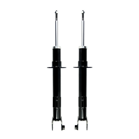 Pair of 2 Front L-R Suspension Strut Assembly For 2009 2010 Dodge Challenger SRT8