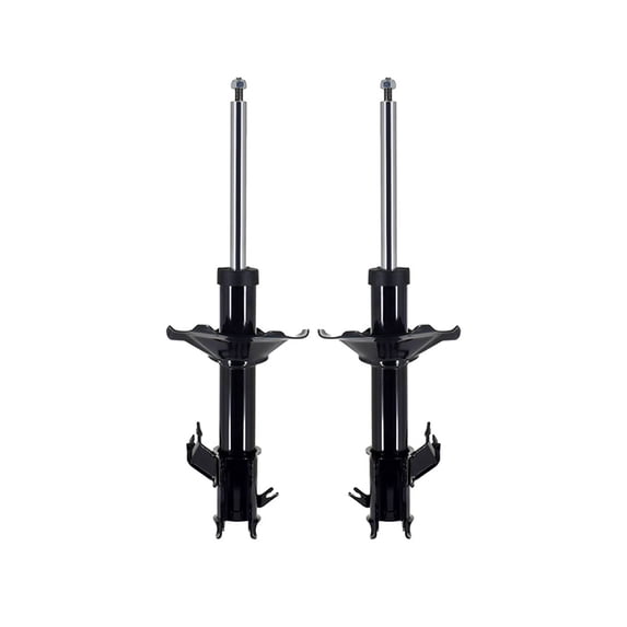 Pair of 2 Front Left-Right Suspension Strut Assembly For 1995-1999 Nissan Maxima