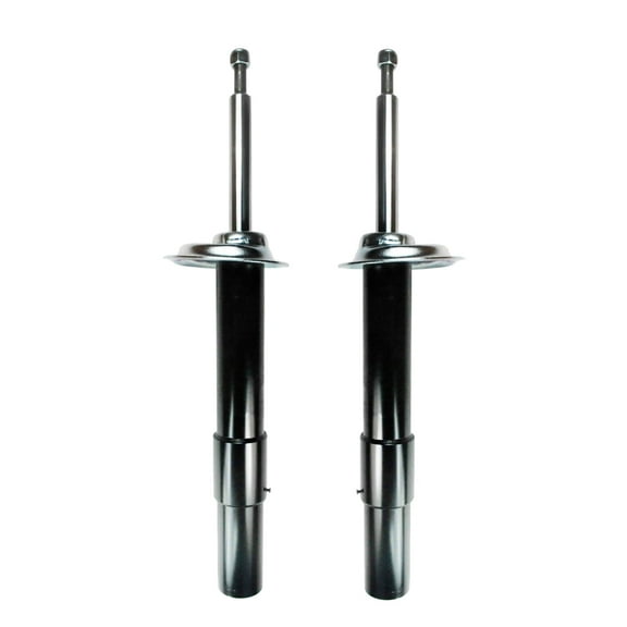 Pair of 2 Front Left-Right Suspension Strut Assembly For 2004-2007 BMW 530I