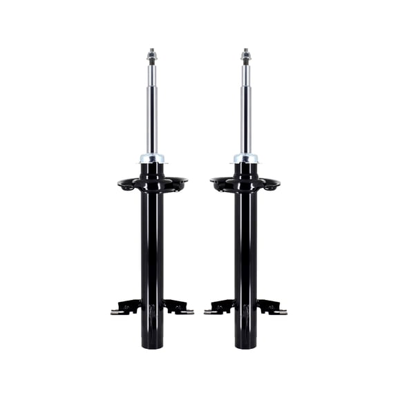 Pair of 2 Front Suspension Strut Assembly For 2014 Winnebago View