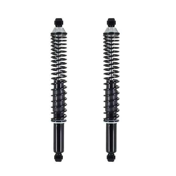 Pair of 2 Rear Complete Shock Absorber Kit For 2004-2008 Ford F-150 RWD