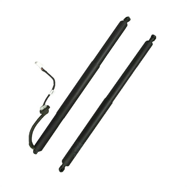 Pair of 2 Rear Left-Right Driver Tailgate Power Lift Supports Struts ...