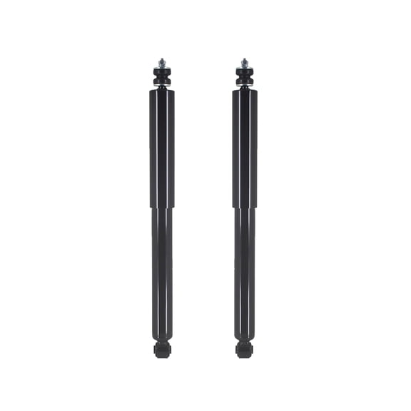 Pair of 2 Rear Suspension Shock Absorber For 2000-2006 2016-2022 Winnebago Spirit