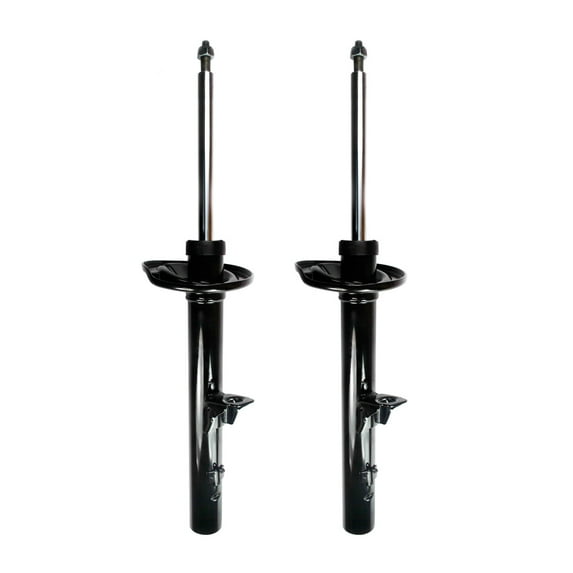 Pair of 2 Rear Suspension Strut Assembly For 1998-2004 Chrysler Intrepid