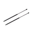 thumbnail image 1 of Pair of 2 Rear Tailgate Lift Support For 1983-1989 Buick Skyhawk Wagon 4 Door, 1 of 5
