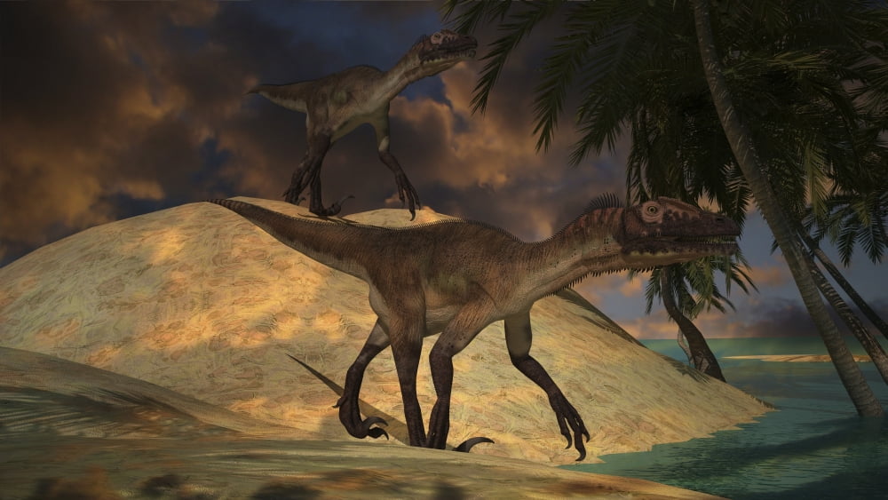 Pair of Utahraptors hunting for food at sunset Canvas Art - Kostyantyn IvanyshenStocktrek Images (38 x 22)