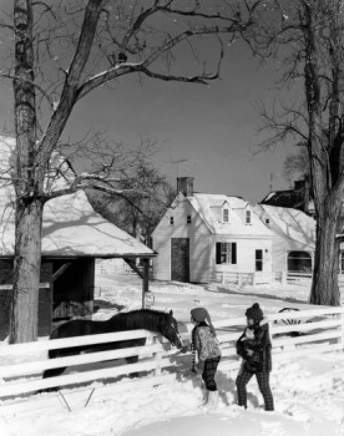 Pair of children feeding horse in winter scenery Canvas Art - (18 x 24)