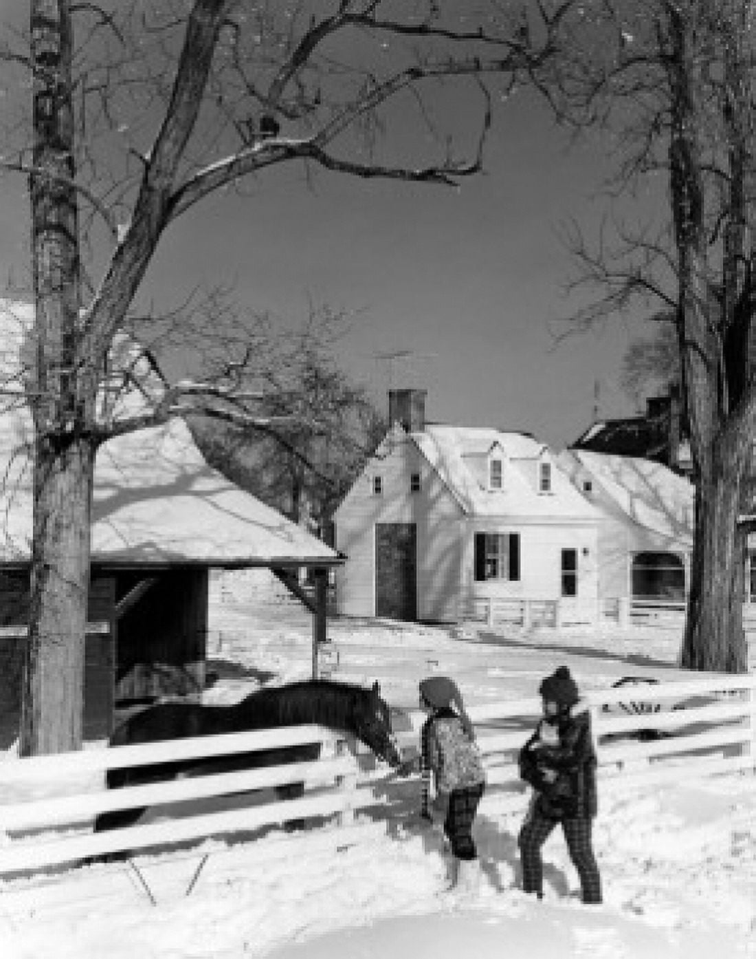 Pair of children feeding horse in winter scenery Canvas Art - (24 x 36)