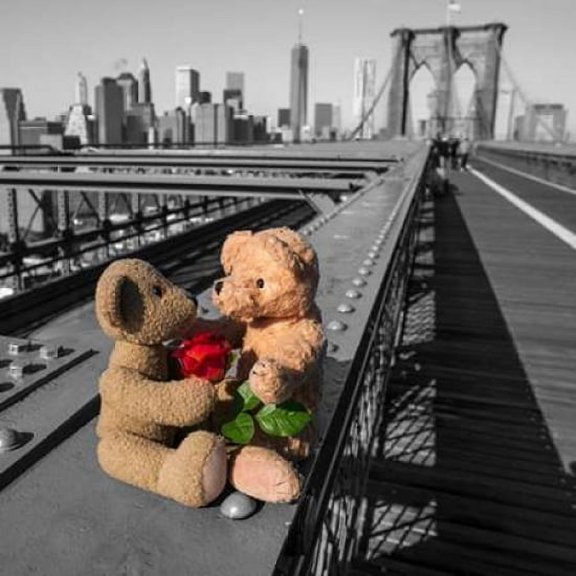Pair of teddy bears with a red rose on Brooklyn Bridge   York Poster Print by Assaf Frank