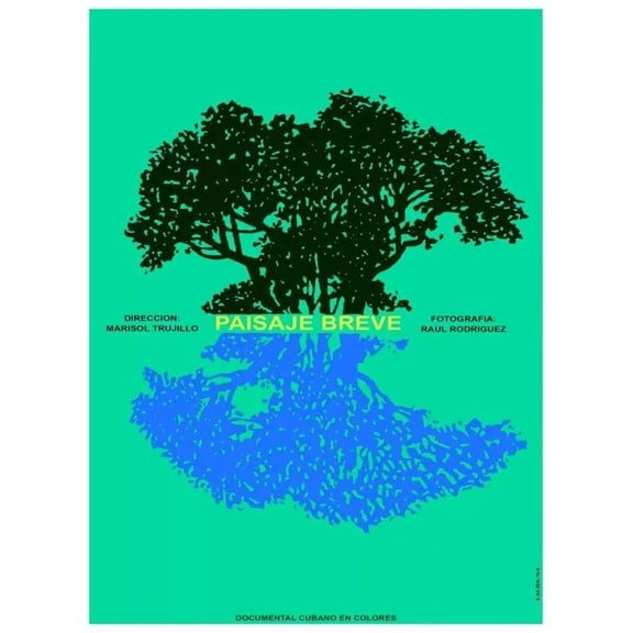 Paisaje breve Cuban Documentary Decor Poster.Graphic Art. Interior Design 16 x 24 Inch Poster