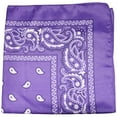 thumbnail image 1 of Paisley 100% Polyester Unisex Bandanas - 2 Pack, 1 of 2