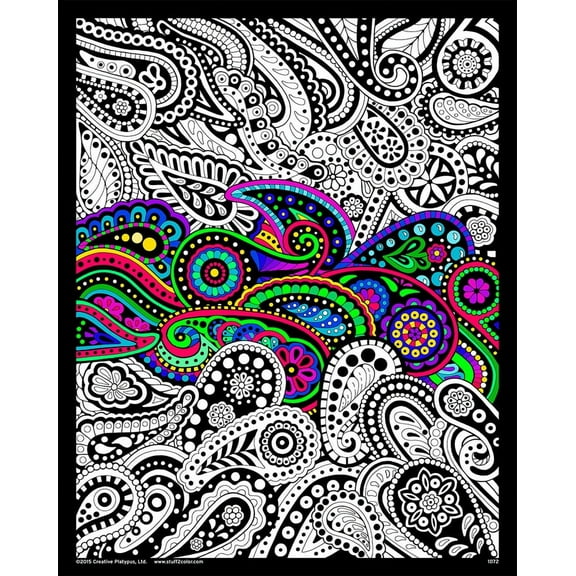 Paisley - 16x20 Inch Fuzzy Velvet Poster