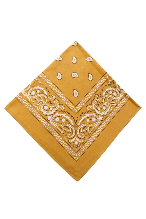 Paisley Bandanas, Unisex Print Scarf Headwrap Handkerchief 21” Polyester