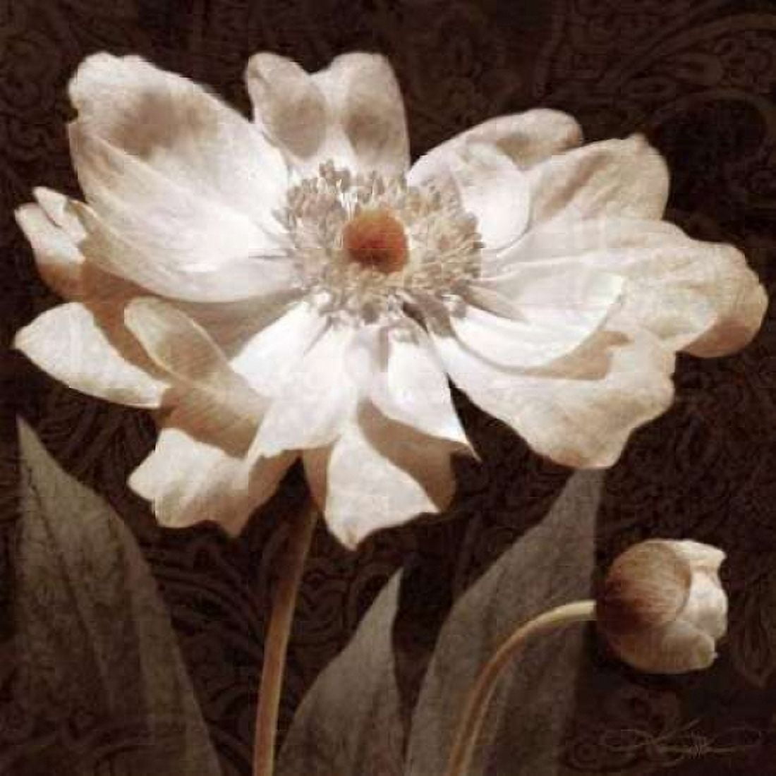 Paisley Blossom I Canvas Art - Keith Mallett (24 x 24)