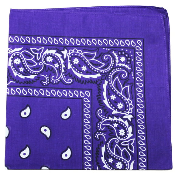 Paisley Cotton Bandana 27 inches XL 24 Pack Men Women Multi-Use Head Wrap