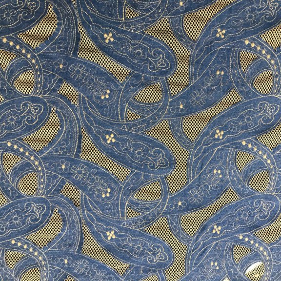 Paisley Embroidered Denim Mesh