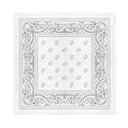 thumbnail image 1 of Paisley Polyester Unisex Bandanas - Pack of 20 - Bulk Wholesale (White), 1 of 2