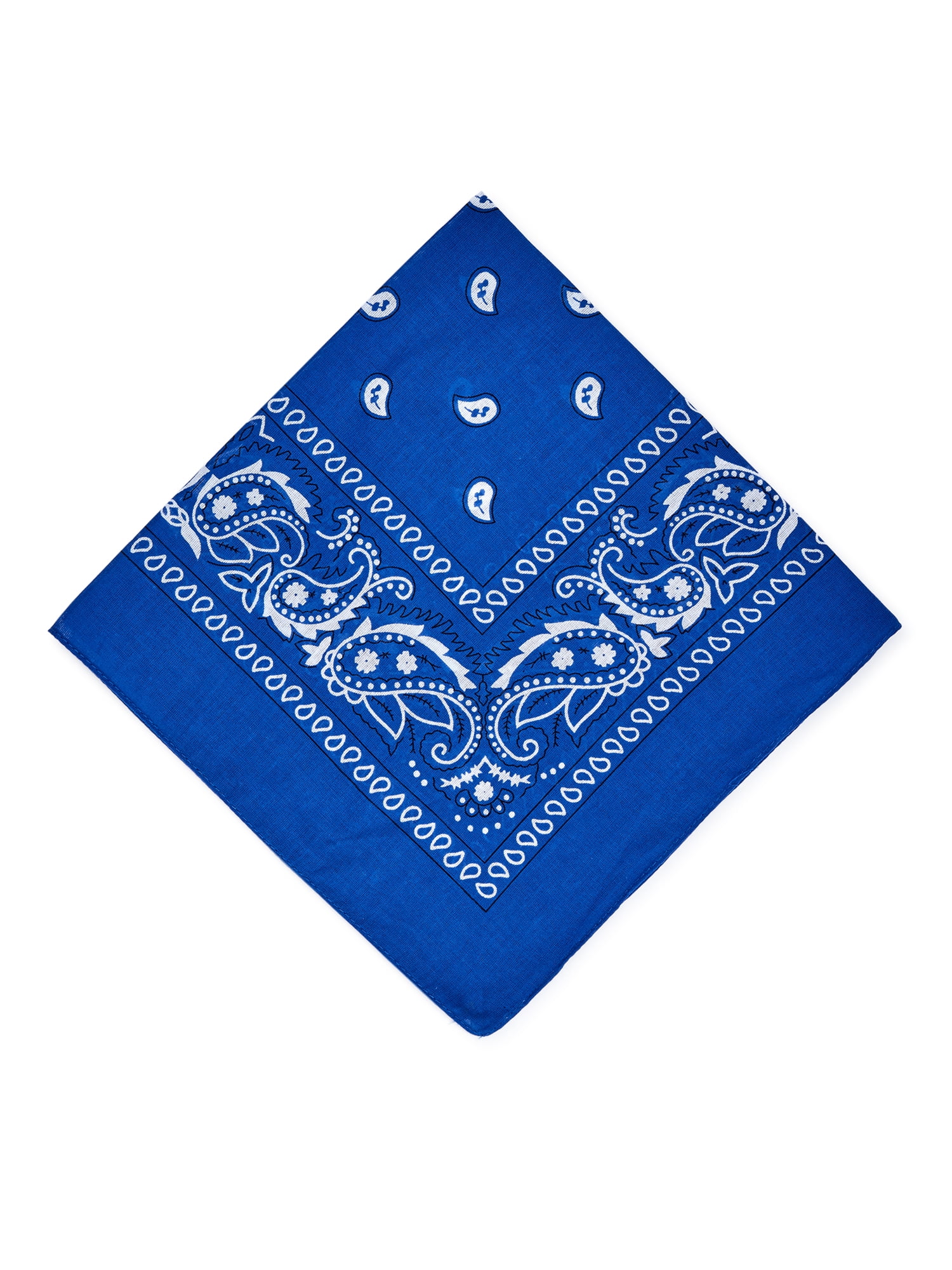 Paisley-Print-Bandana_7eb1cf53