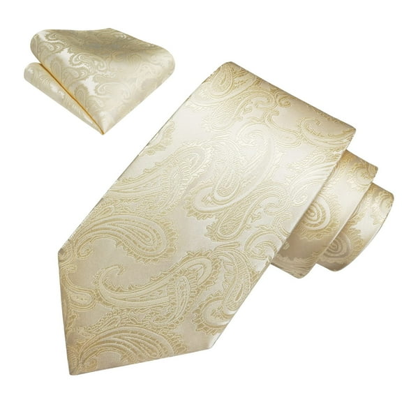 Paisley Ties for Men Classic Floral Necktie & Pocket Square Set Formal Silk Champagne Tie Wedding