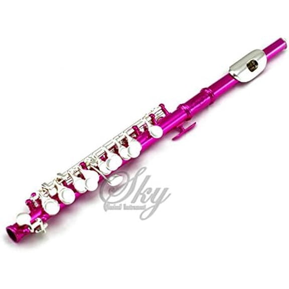 (Paititi) Band Approved Hot Pink Laquer with Silver Keys Piccolo Key of C with Hard Case, Cloth, Cleaning Rod, Joint Greasae and Screw Driver$$Musical Instruments