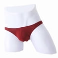 thumbnail image 1 of Paiwinds Men's Ice Silk Briefs, Thin Transparent Breathable Underwear, Made from Polyester and Spandex, Slim Fit for Intimate Occasions, 1 of 3