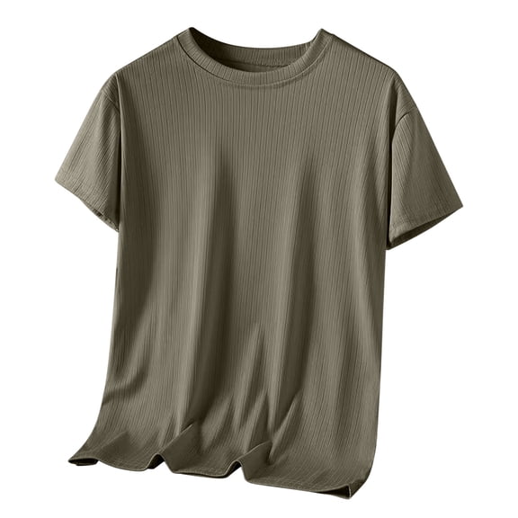 Paiwinds Men’s Round Neck Solid Short Sleeve Tee Polyester Lightweight Summer,Casual Daily Relaxed,S-5XL 5 Colors