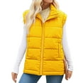 thumbnail image 1 of Paiwinds Women's Casual Winter Stand Collar Sleeveless Puffer Vest with Pockets, Lightweight Puffy Jacket for Layering and Fashionable Street Style, 1 of 7