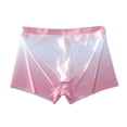 thumbnail image 1 of Paiwinds Women‘s Gradient Ice Silk Seamless Underwear - Breathable & Quick-Dry Hipster for a Cool, Comfortable Feel (L-3XL, 5 Colors), 1 of 4