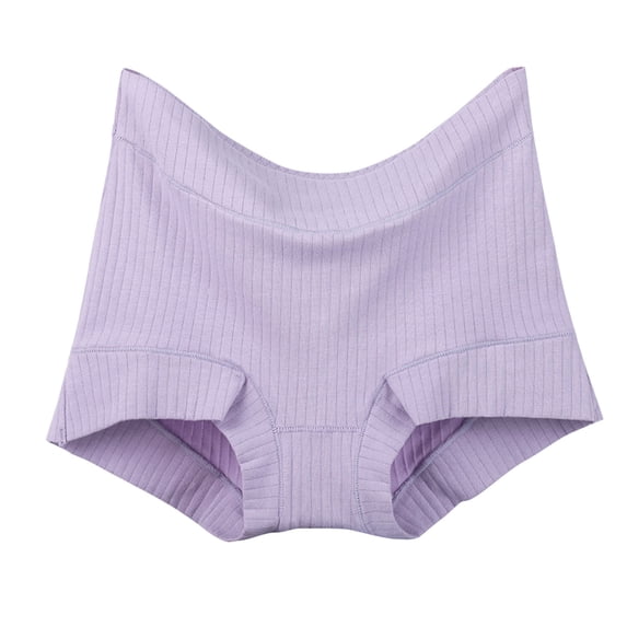 Paiwinds Women's High Waisted Seamless Briefs - Soft Polyester Spandex Underwear for Full Coverage & Tummy Control, Breathable Plus Size Panties