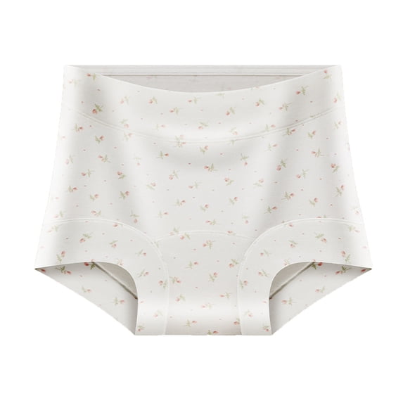 Paiwinds Women's Ventilated Cotton Briefs - Seamless Mid Rise Underwear for a Smooth Invisible Look, Soft & Breathable Comfortable Everyday Panties