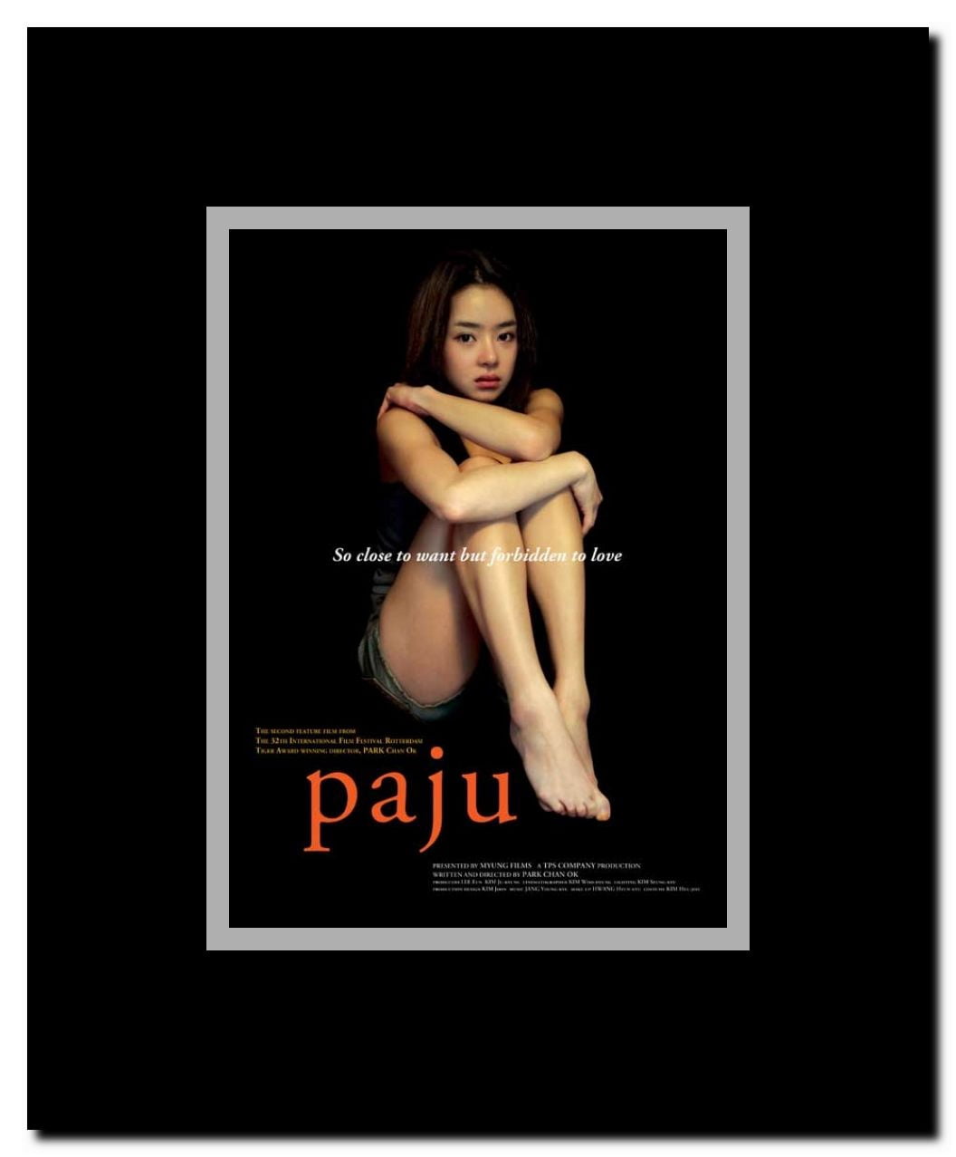 Paju Framed Movie Poster