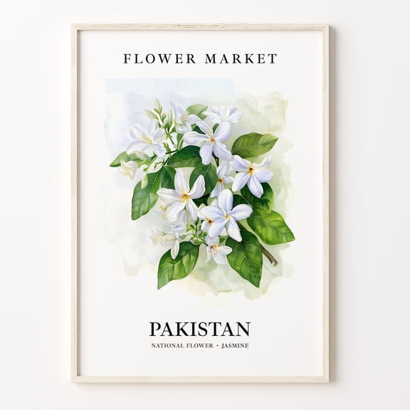 Pakistan National Flower Art Print Jasmine 1960'S Wall Art Neutral Botanical Pastel Pakistan Flower Market Artwork