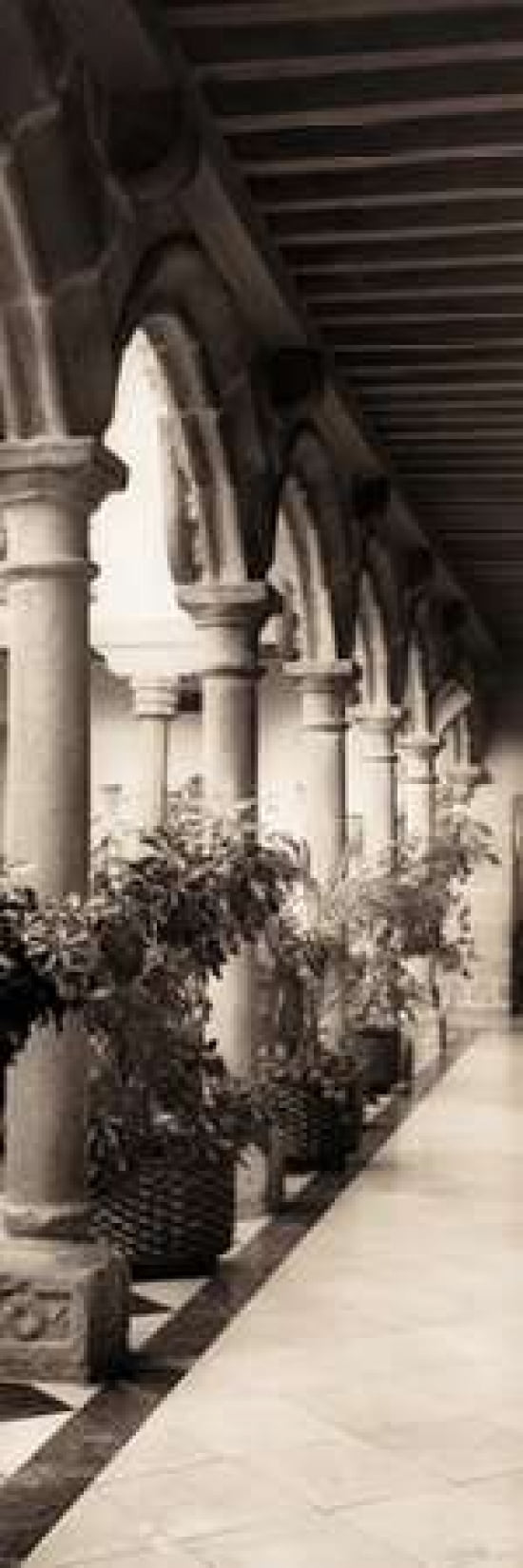 Palacio de Valdespino Canvas Art - Alan Blaustein (8 x 24)
