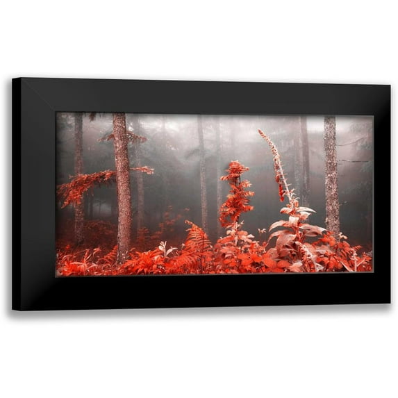 Palacios, J.A. 24x14 Black Modern Framed Museum Art Print Titled - Red forest 809